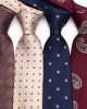 Lei'er polyester cashew flower classic men's 8cm tie. Men's paisley flower business casual wedding dinner tie