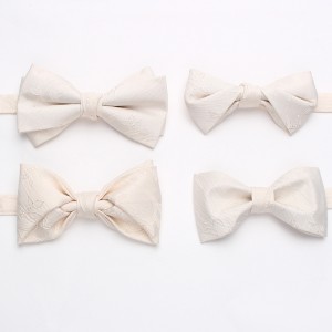 Lei'er men's groom's wedding tie, wedding dress photoshoot, Chinese-style personalized bow tie, fashionable burgundy bow tie, in stock from the manufacturer.